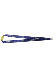 Lanyard